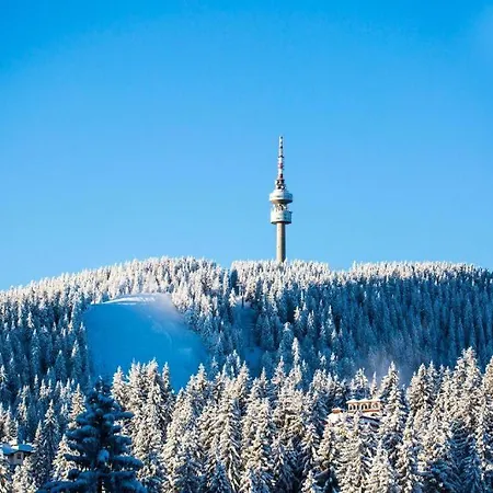 N.joy 413 By Sunny Hills Apartamento *