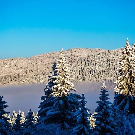 N.joy 413 By Sunny Hills Apartamento *