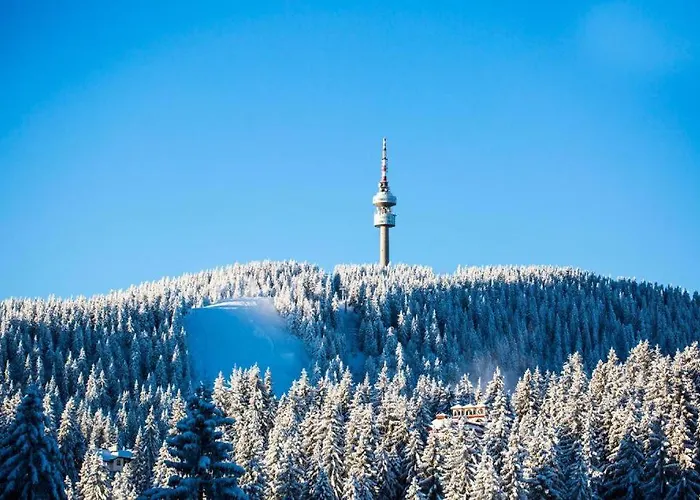 N.joy 413 By Sunny Hills Apartment *