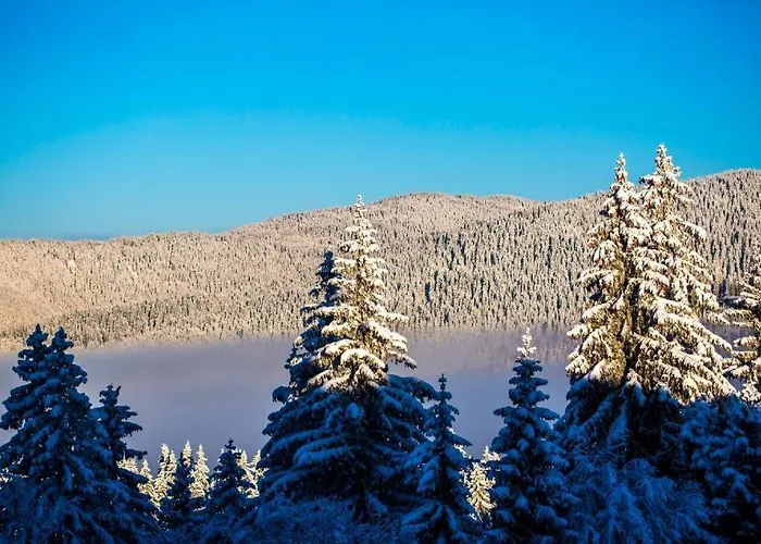 N.joy 413 By Sunny Hills Apartment *